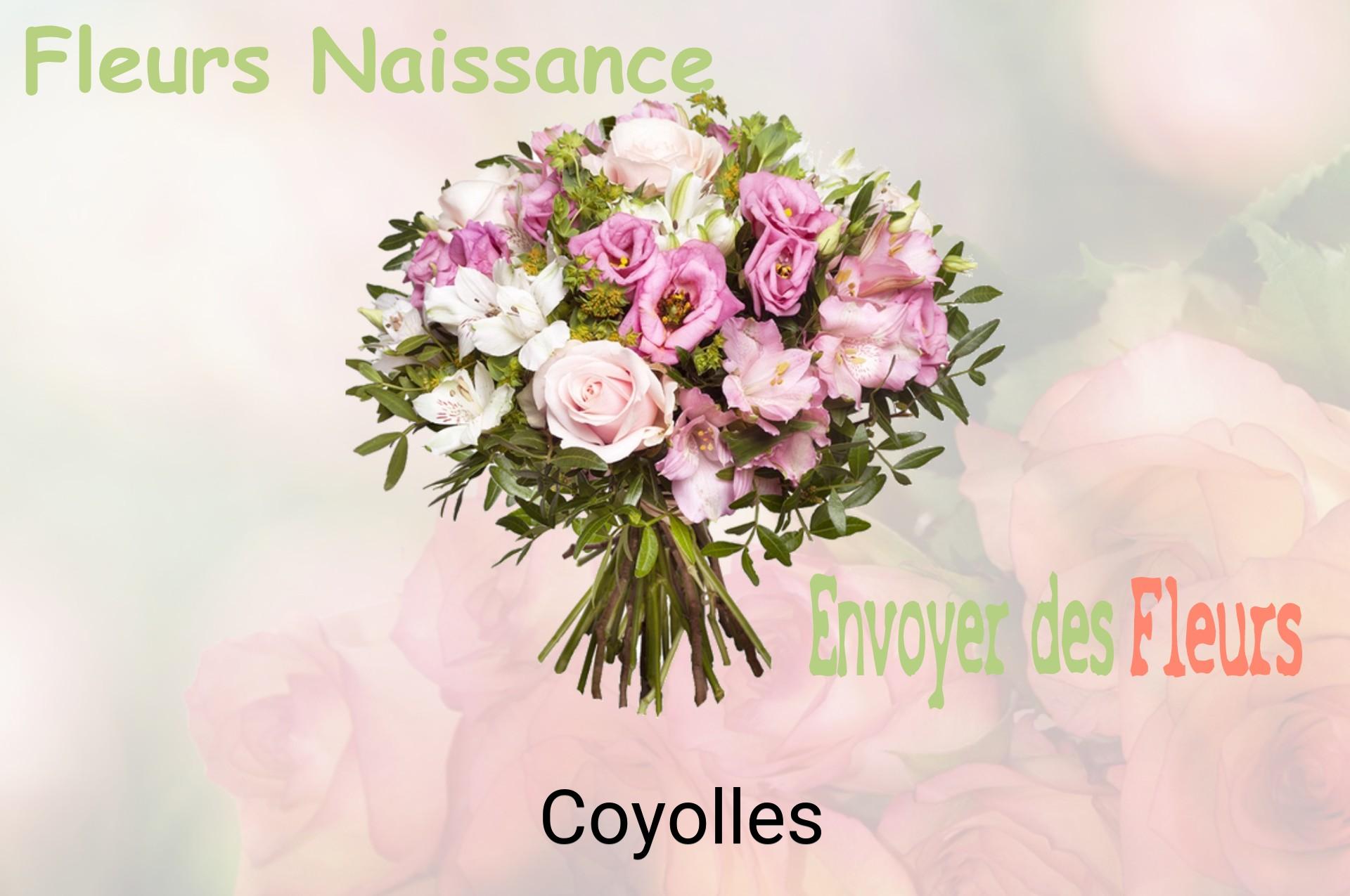 Bouquet de fleurs de naissance livré à Coyolles